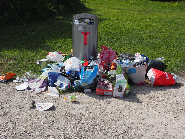 Eco-Friendly IT Asset Disposal in Albany NY: Sustainable Practices Unveiled