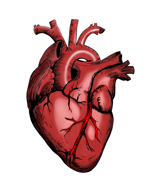 medical malpractice attorney Albany