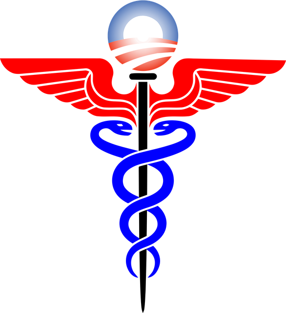 medical malpractice law firm Albany