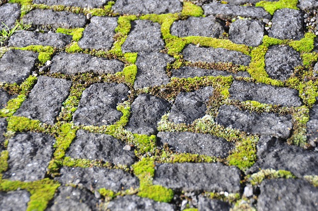 municipal-paving-contractor-albany-640x480-1228482.jpeg