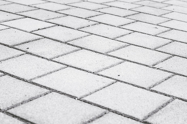 paving services Albany NY