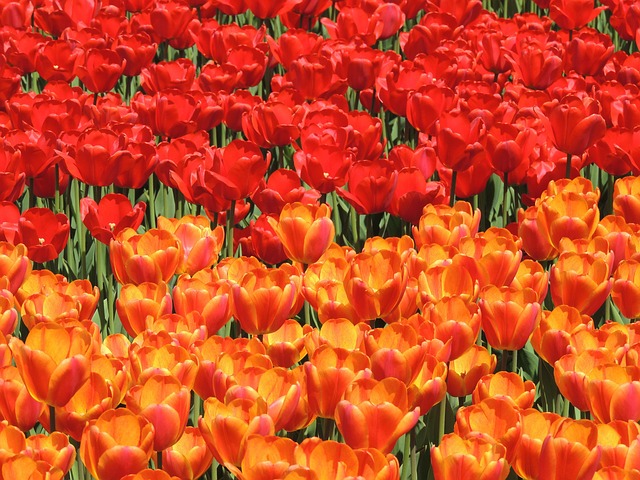 paving services Albany NY