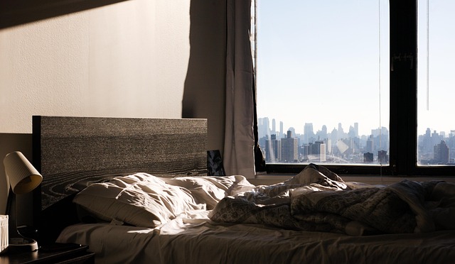pet-friendly-apartments-albany-640x480-12230817.jpeg