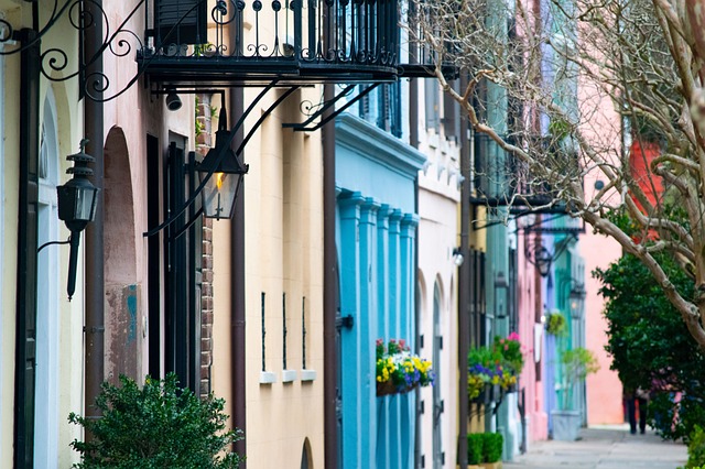 Pet friendly neighborhoods in Albany