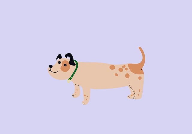 Pet friendly neighborhoods in Albany