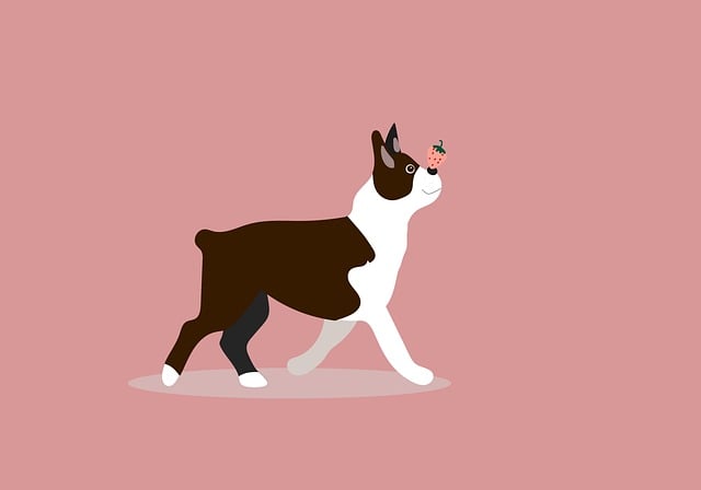Pet friendly neighborhoods in Albany