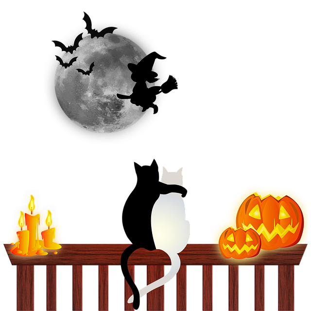 pet-policies-in-albany-apartments-640x480-9924848.png