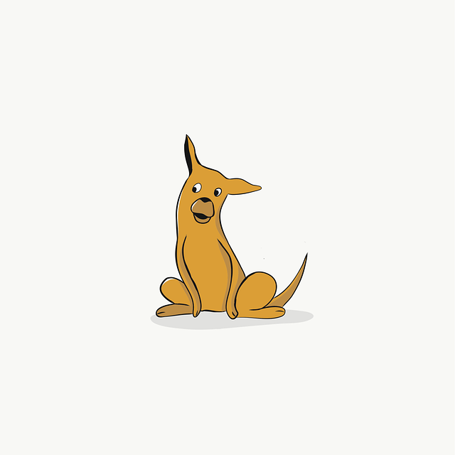 Pet sitting services near me in Albany, NY