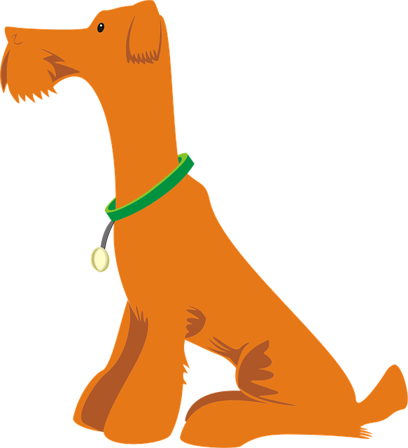 Pet sitting services near me in Albany, NY