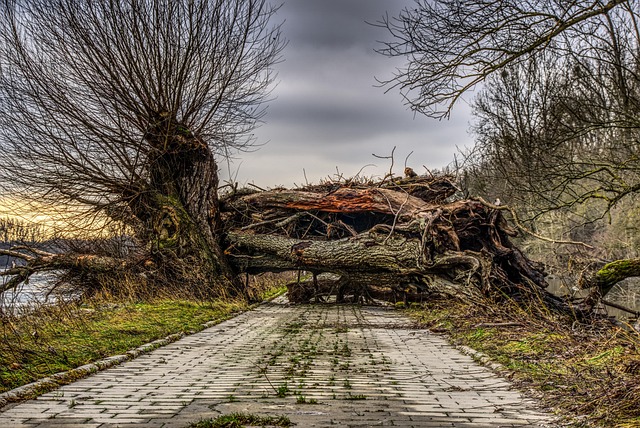 road paving
