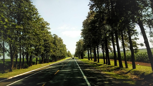 road paving