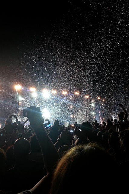 Schenectady Concerts