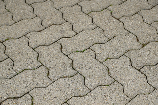 school paving contractor Albany