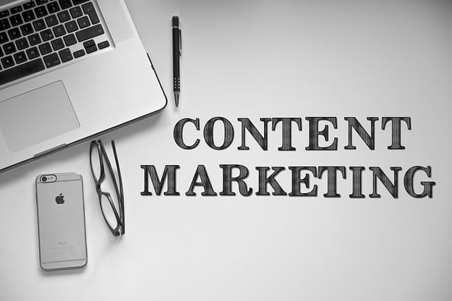 SEO agency Albany