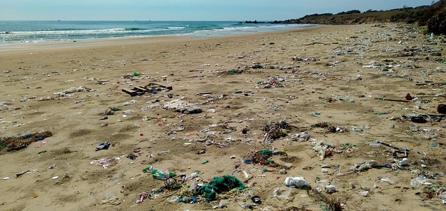 sewage-cleanup-640x480-17090455.jpeg