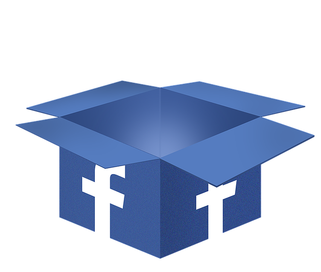 social media management agency Albany