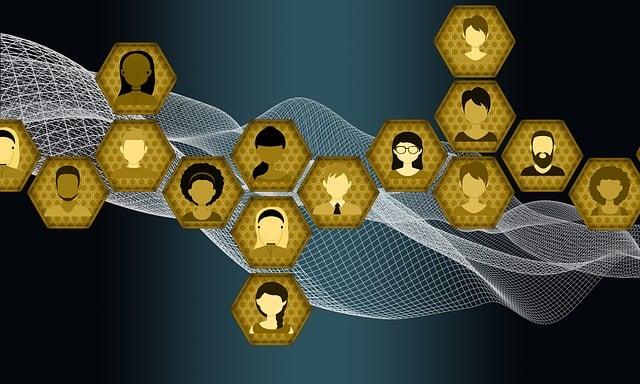 social media management agency Albany