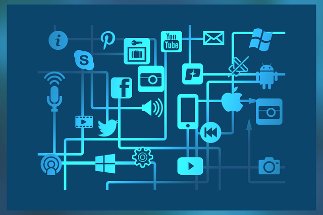 social media management agency Albany