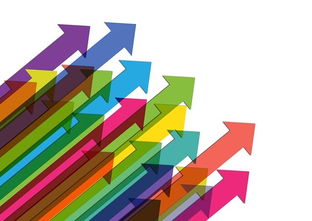 social media management agency Albany