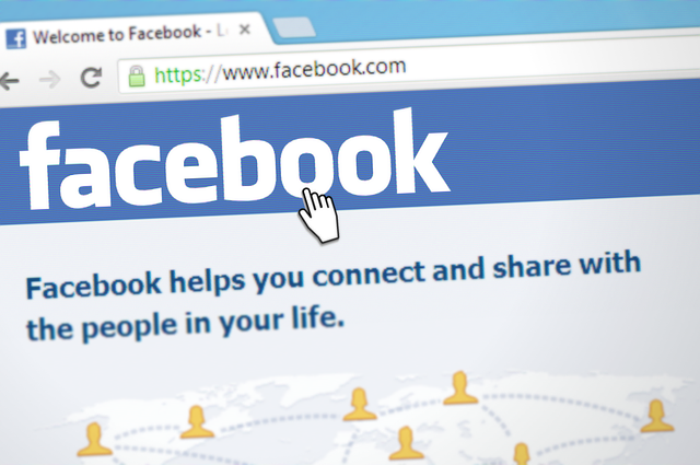 social media management agency Albany