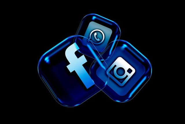 social media management agency Albany