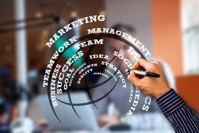 social media management agency Albany