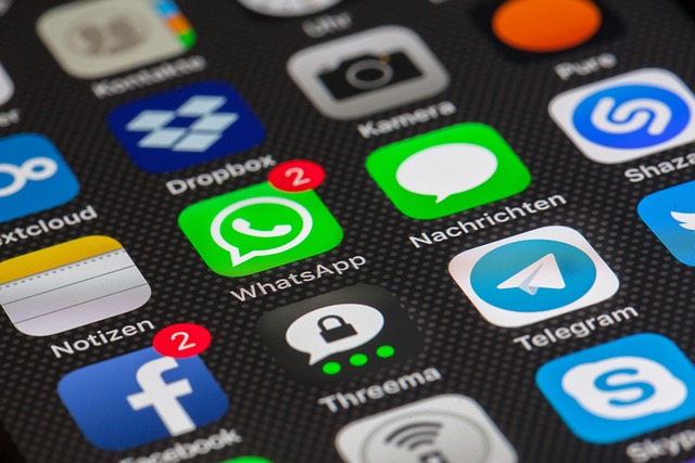 social media management agency Albany