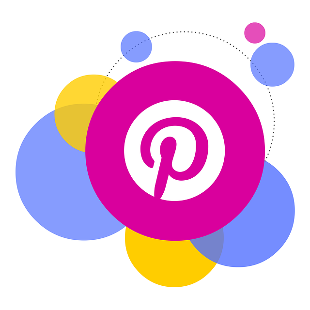 social media management agency Albany