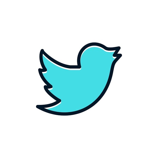 social-media-management-agency-albany-640x480-80646419.jpeg