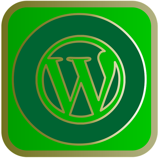 social-media-management-agency-albany-640x480-80896845.png