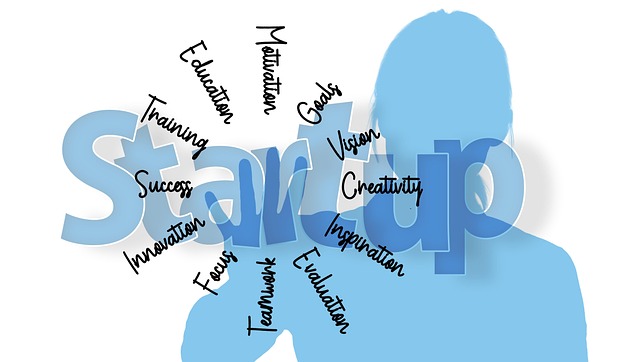 social media management agency Albany