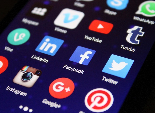 social media management agency Albany