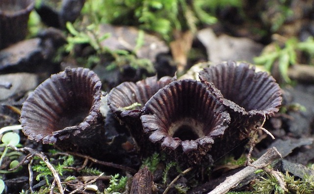 thermostat repair Albany