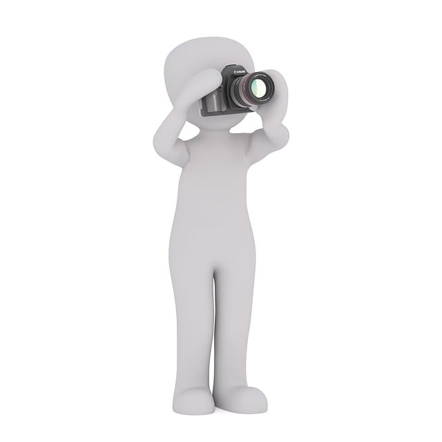 videographer Albany