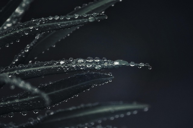 water-extraction-640x480-15781772.jpeg