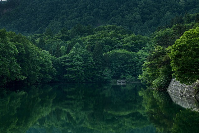water-extraction-640x480-40041542.jpeg