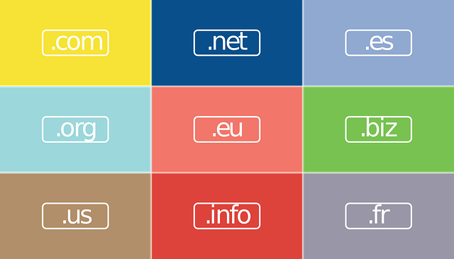web design Albany