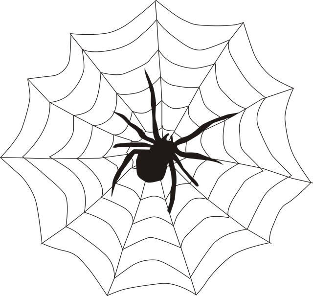 web design Albany