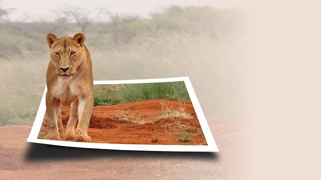advertising-agency-albany-640x480-78588675.jpeg