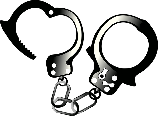 Albany Criminal Justice Legal Aid