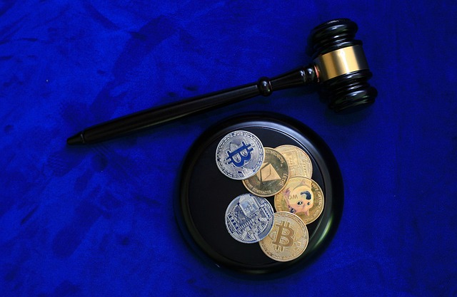 Albany Criminal Justice Legal Aid