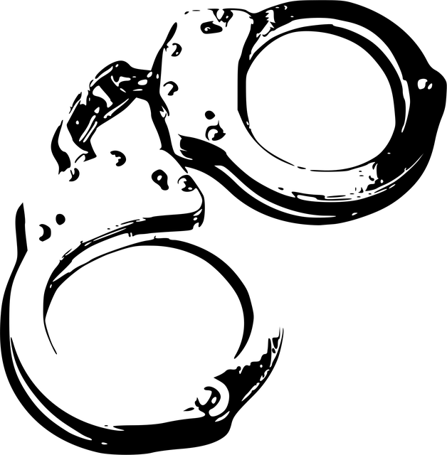 Albany NY Criminal Law Firm