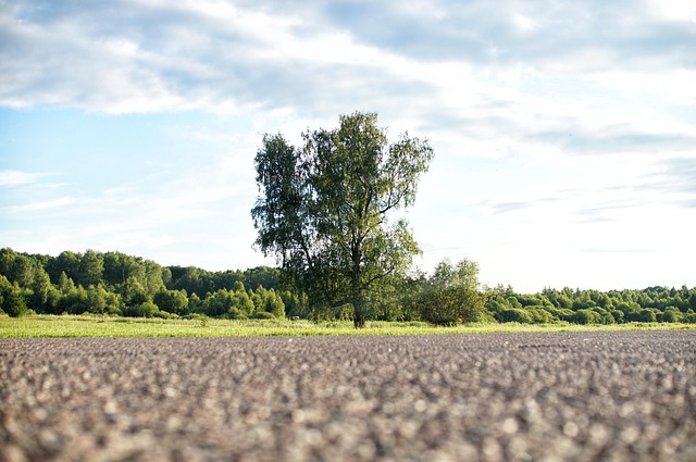 asphalt