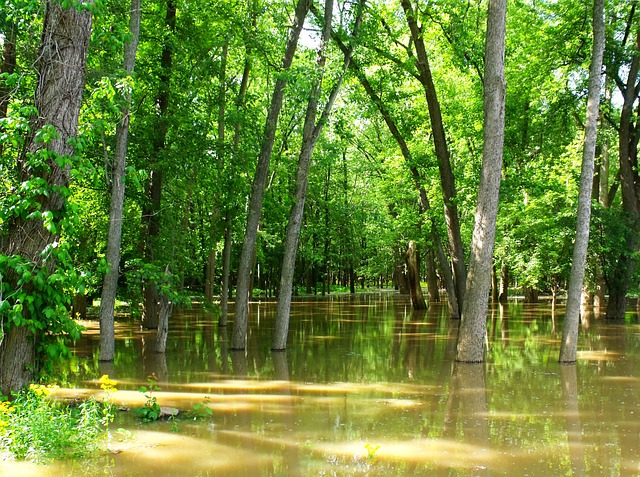 basement-flood-cleanup-640x480-51369868.jpeg