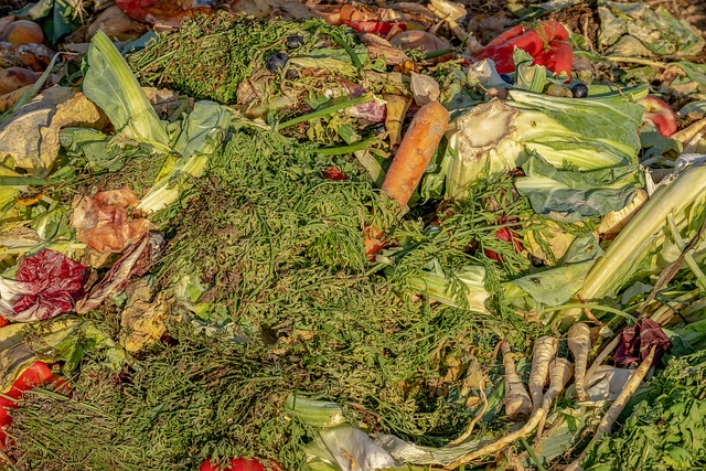 Boston NY e-waste recycling