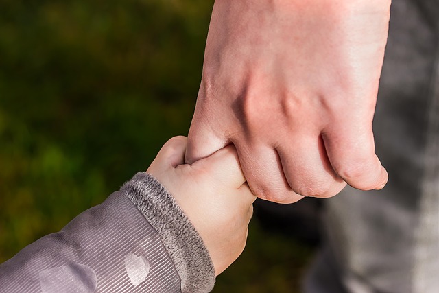Child Support Lawyer Albany