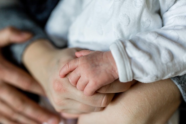 child-support-lawyer-albany-640x480-81489712.jpeg