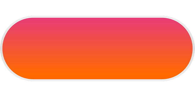 custom website design Albany