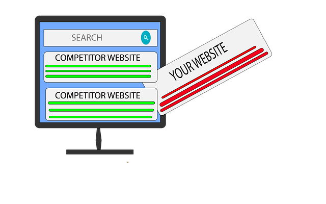 custom website design Albany