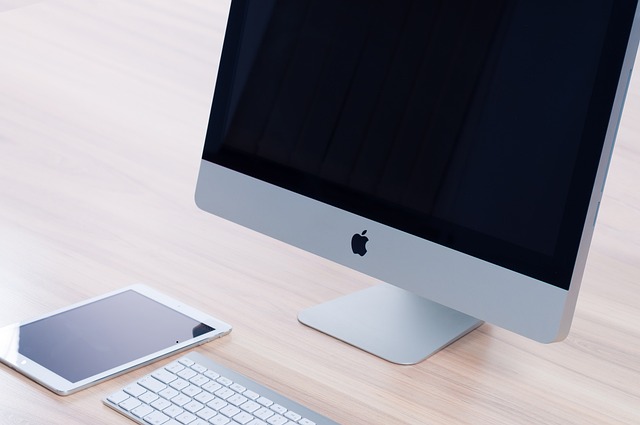custom website design Albany